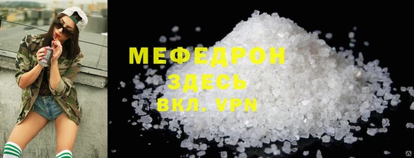 индика Туринск
