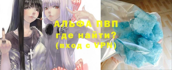 ECSTASY Богданович