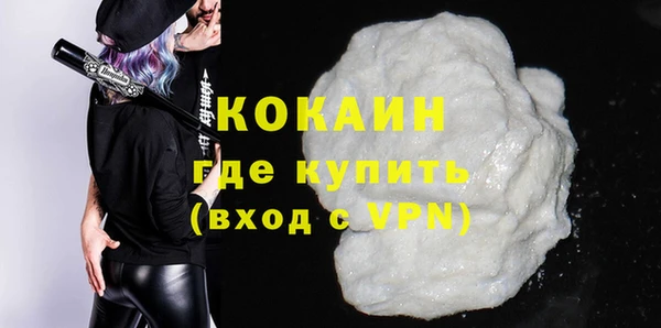 ECSTASY Богданович