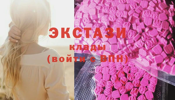 ECSTASY Богданович