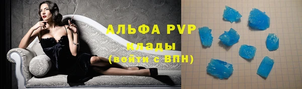 ECSTASY Богородицк