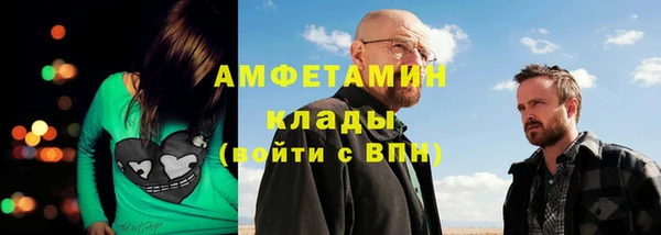 ECSTASY Богданович