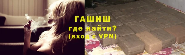 ECSTASY Богданович