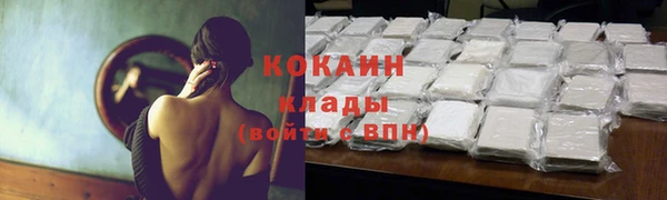 ECSTASY Богданович