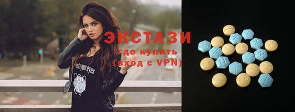 ECSTASY Богданович