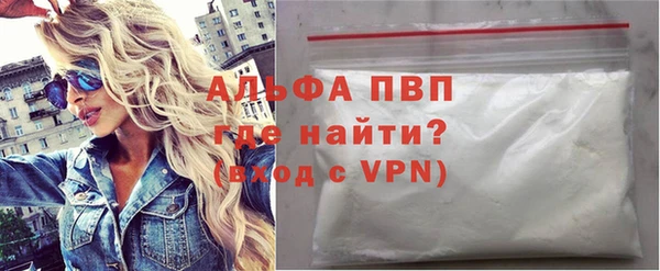 ECSTASY Богданович