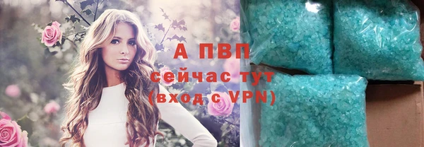 ECSTASY Богданович