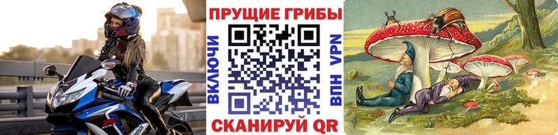 Галлюциногенные грибы мицелий где купить наркоту Моздок